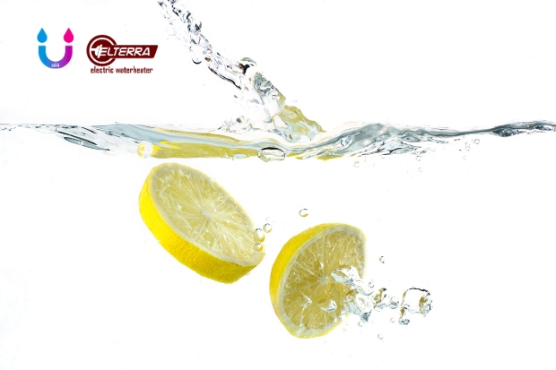 air lemon hangat untuk asam lambung